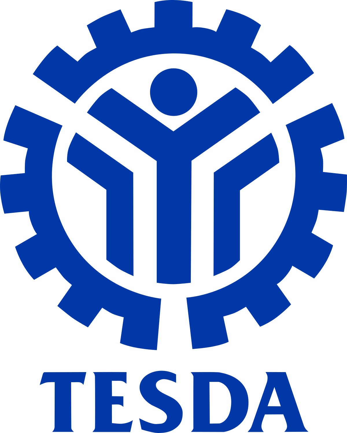 Technical Education and Skills Development Authority (TESDA)