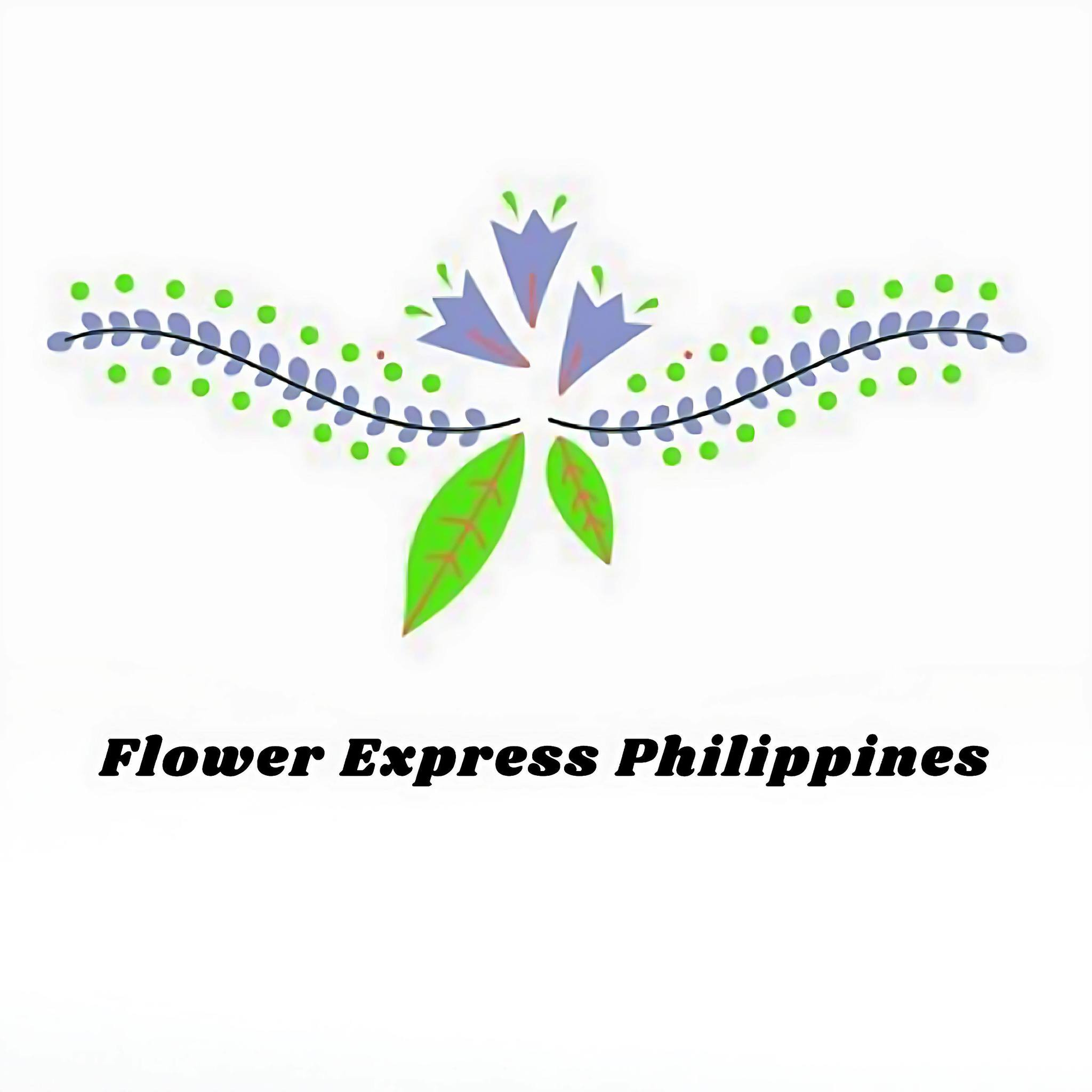 Flower Express Image 1