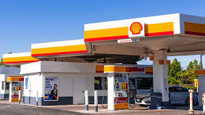 Shell Image 1