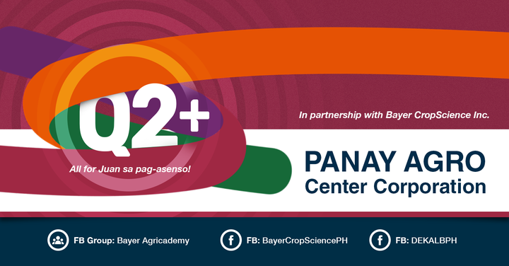 PANAY AGRO CENTER CORPORATION Image 1